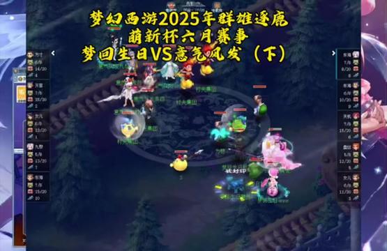 梦幻西游萌新杯赛事解说